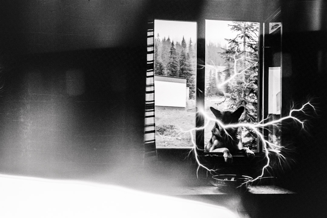 Monochromatic Stains banner